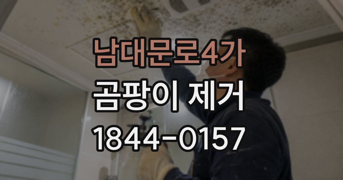 남대문로4가 곰팡이 제거