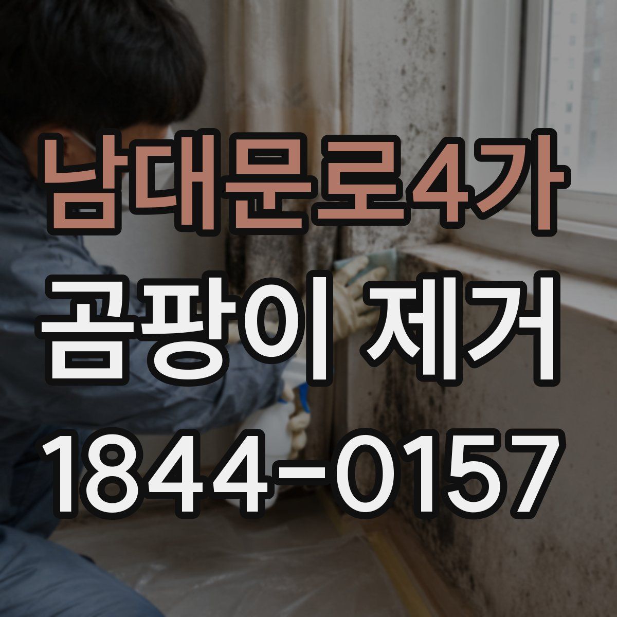 남대문로4가 곰팡이 제거