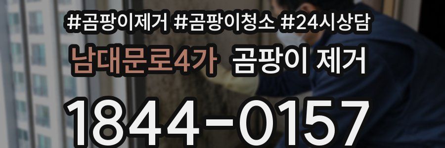 남대문로4가 곰팡이 제거