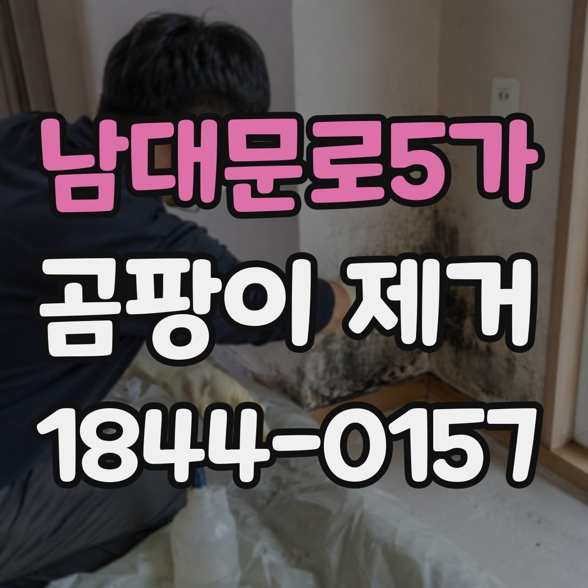 남대문로5가 곰팡이 제거