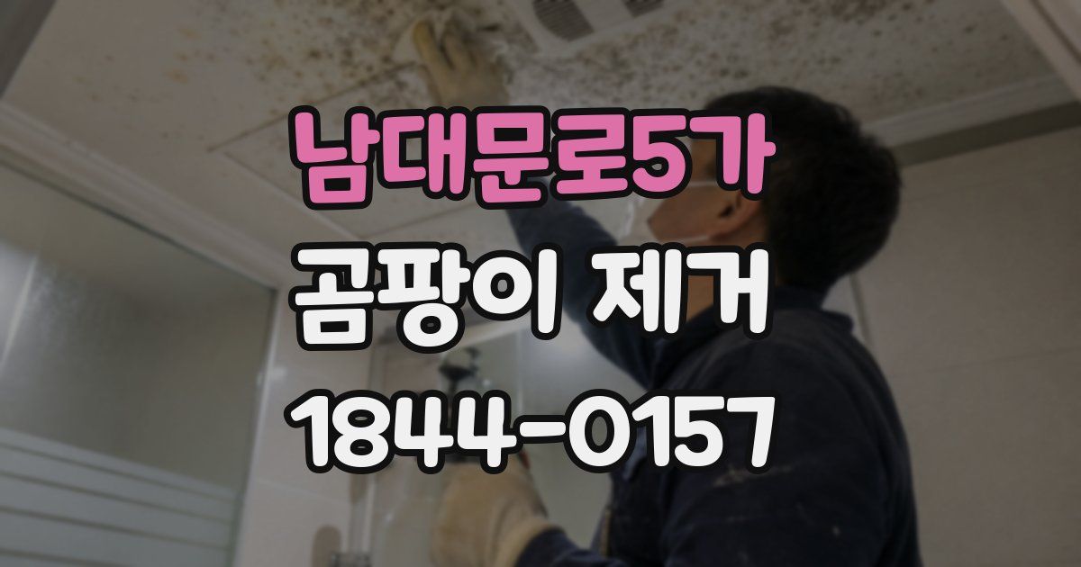 남대문로5가 곰팡이 제거