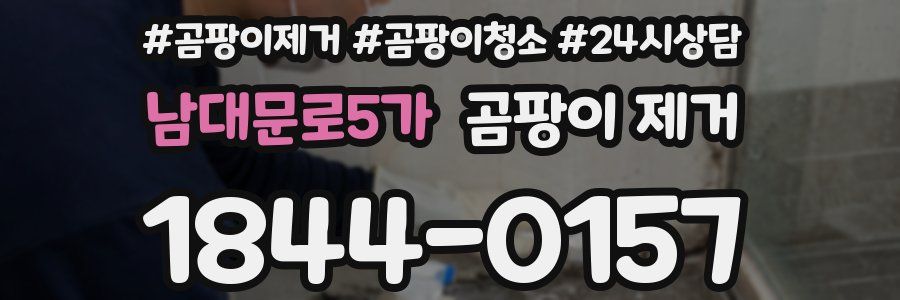 남대문로5가 곰팡이 제거