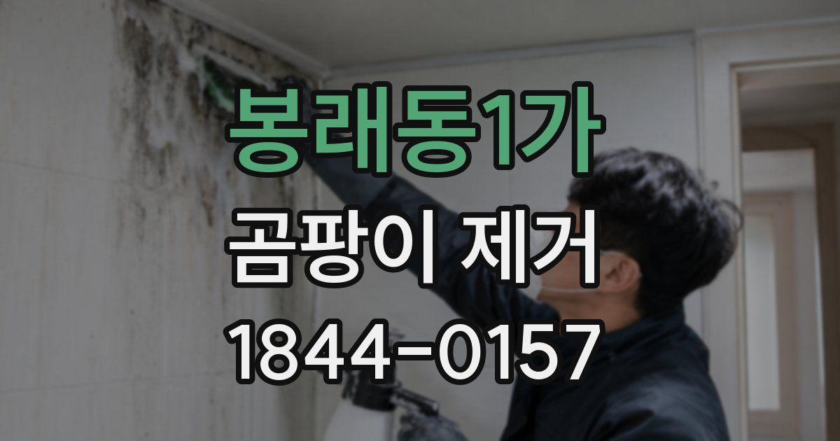 봉래동1가 곰팡이 제거
