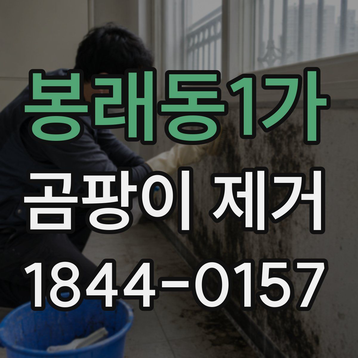 봉래동1가 곰팡이 제거