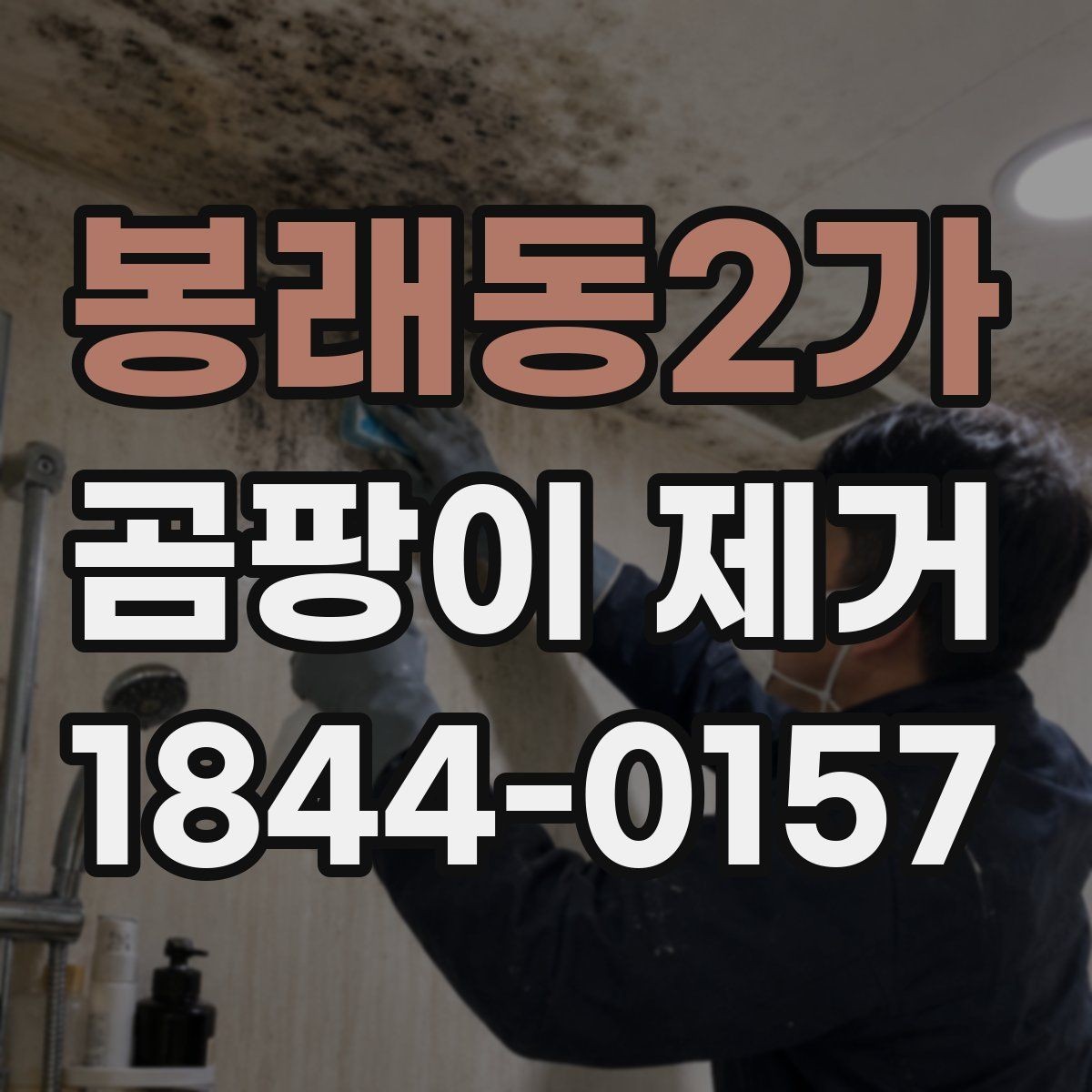 봉래동2가 곰팡이 제거 오피스텔 좁은 공간의 환기 동선 정리