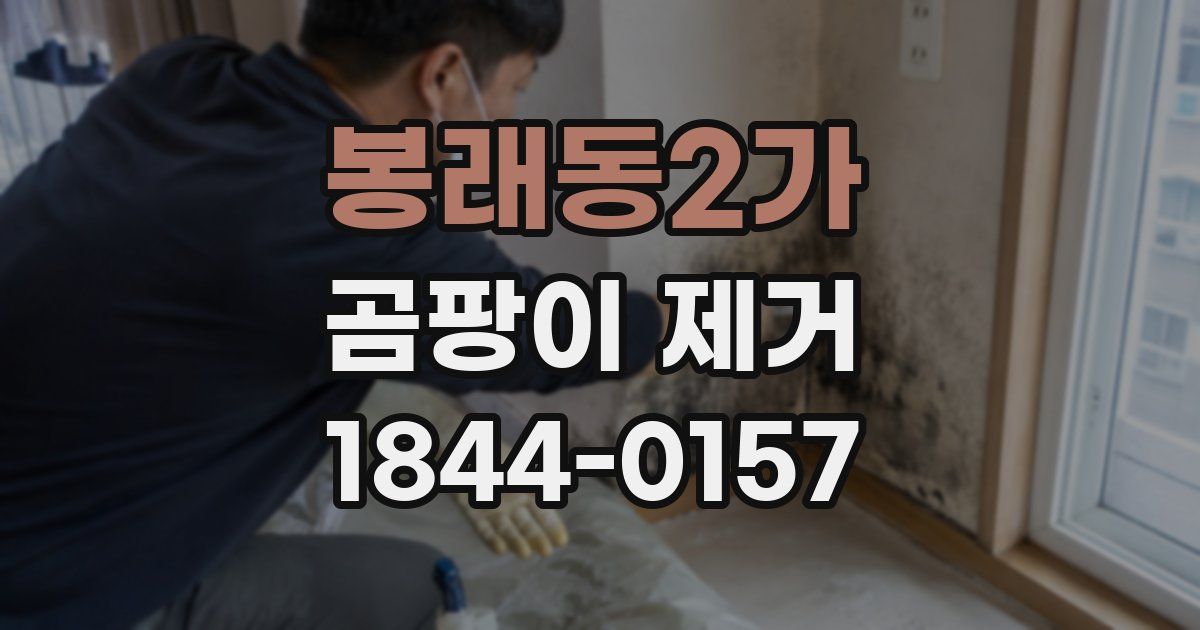 봉래동2가 곰팡이 제거