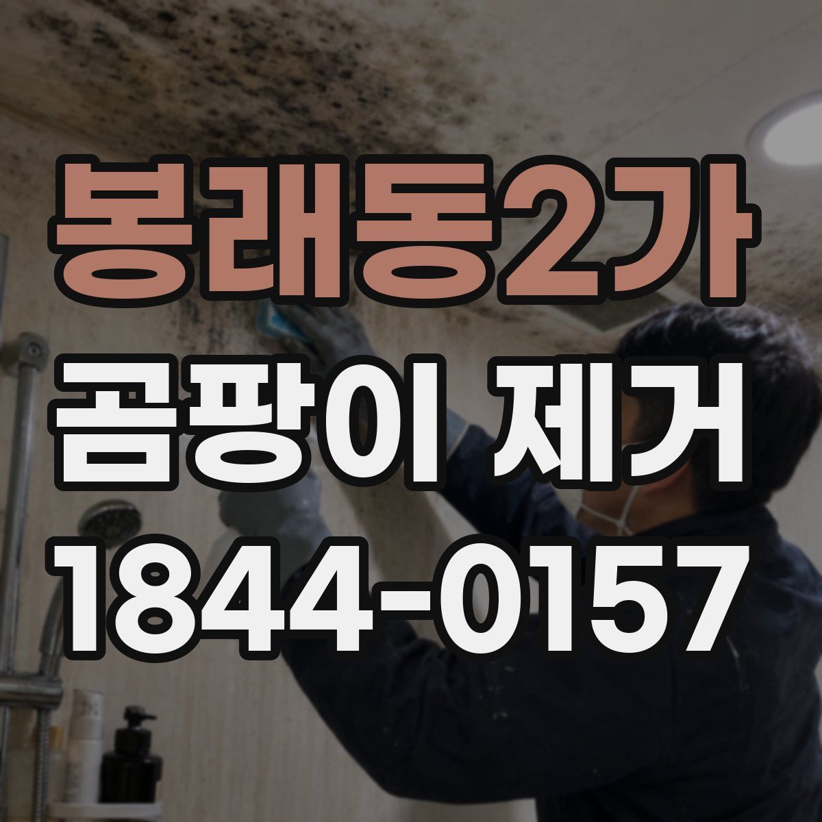 봉래동2가 곰팡이 제거