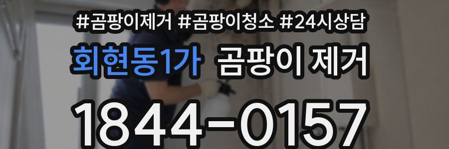 회현동1가 곰팡이 제거