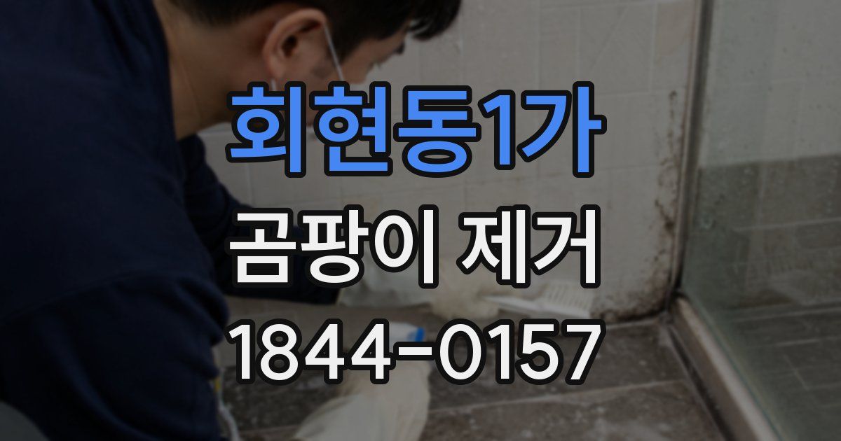 회현동1가 곰팡이 제거
