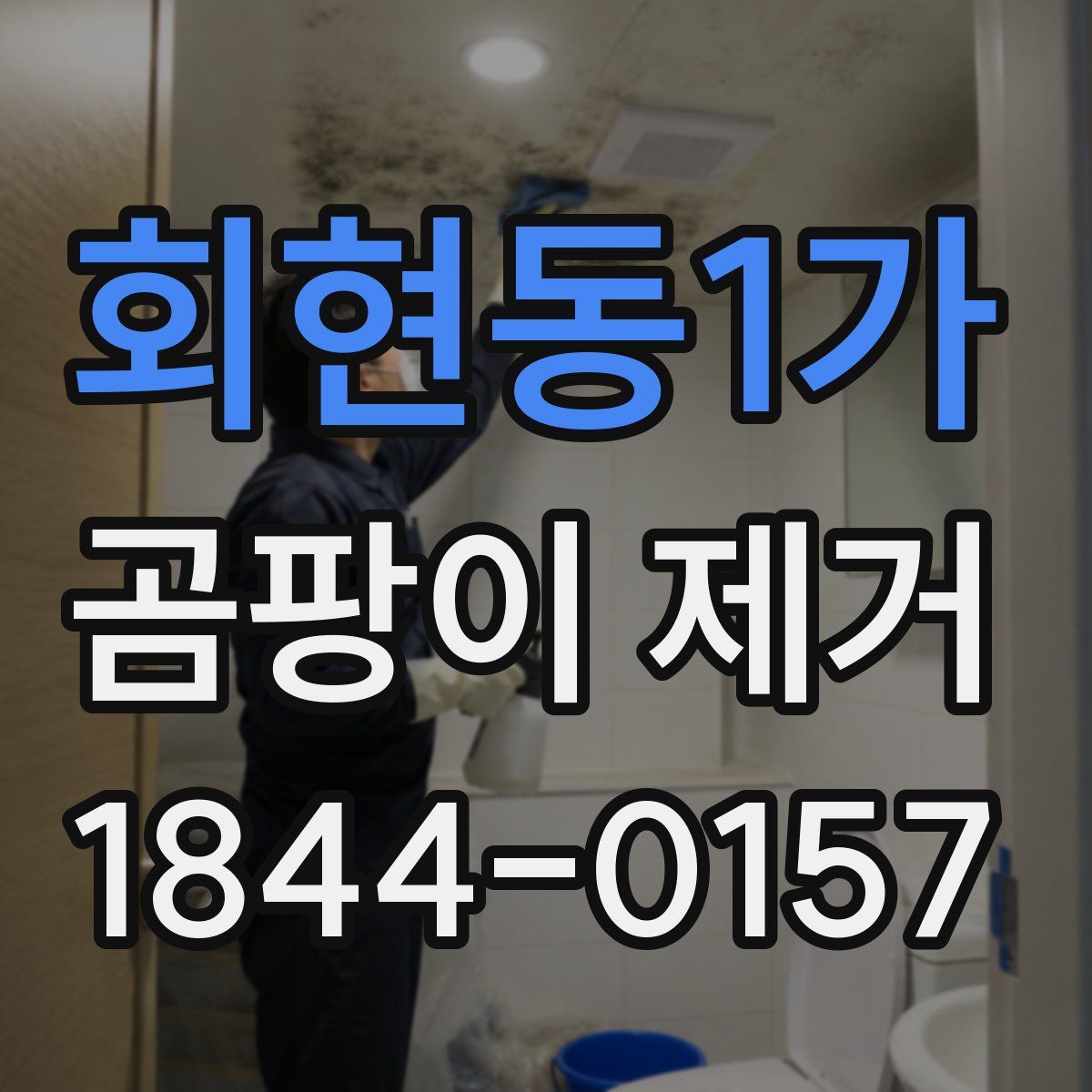 회현동1가 곰팡이 제거