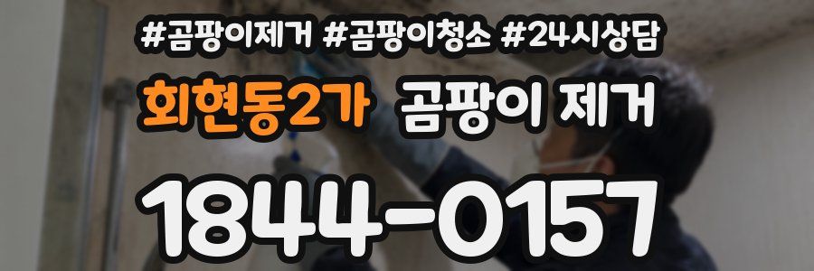 회현동2가 곰팡이 제거