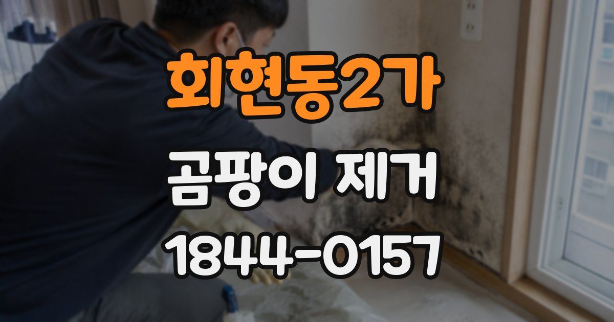 회현동2가 곰팡이 제거