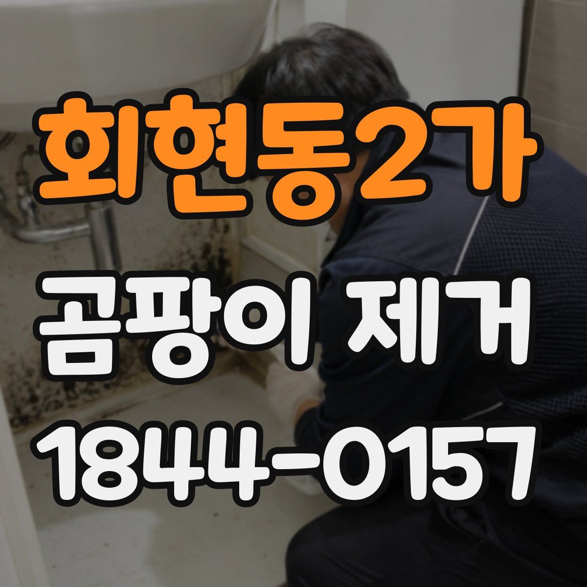 회현동2가 곰팡이 제거