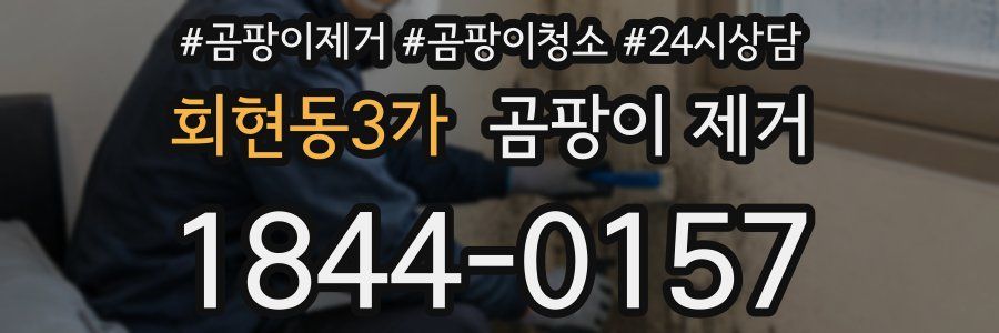 회현동3가 곰팡이 제거