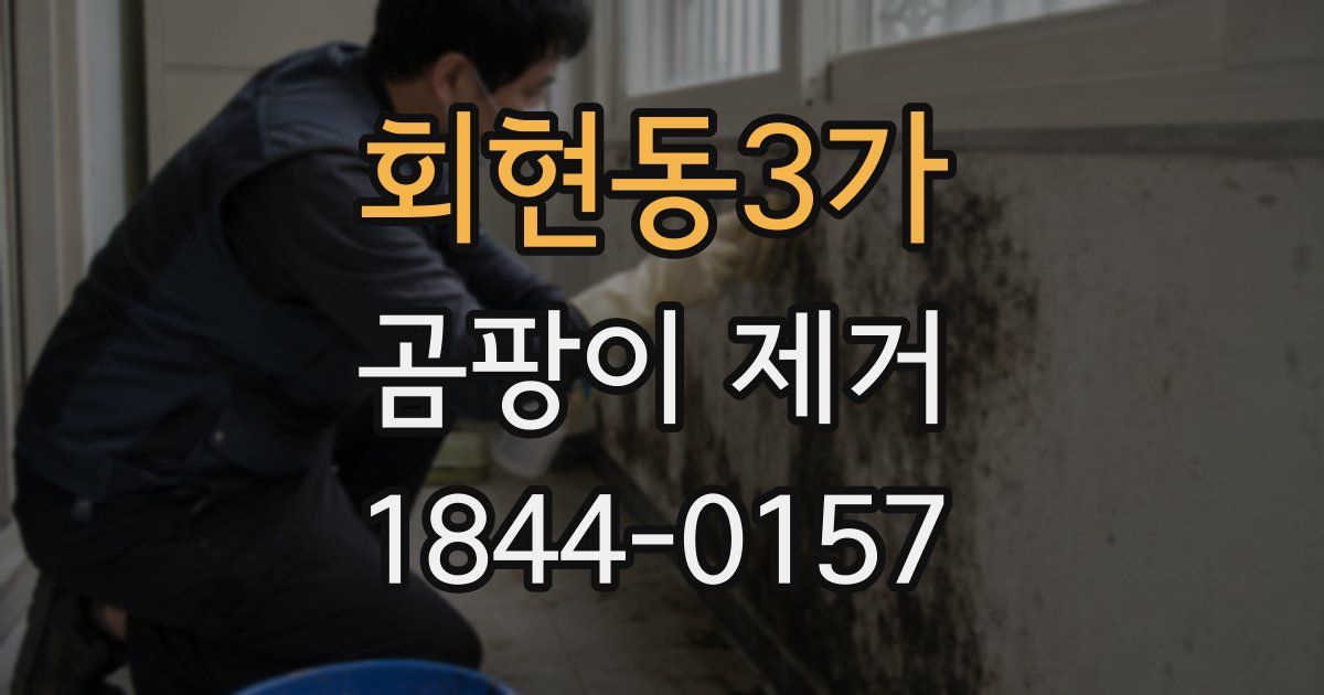 회현동3가 곰팡이 제거