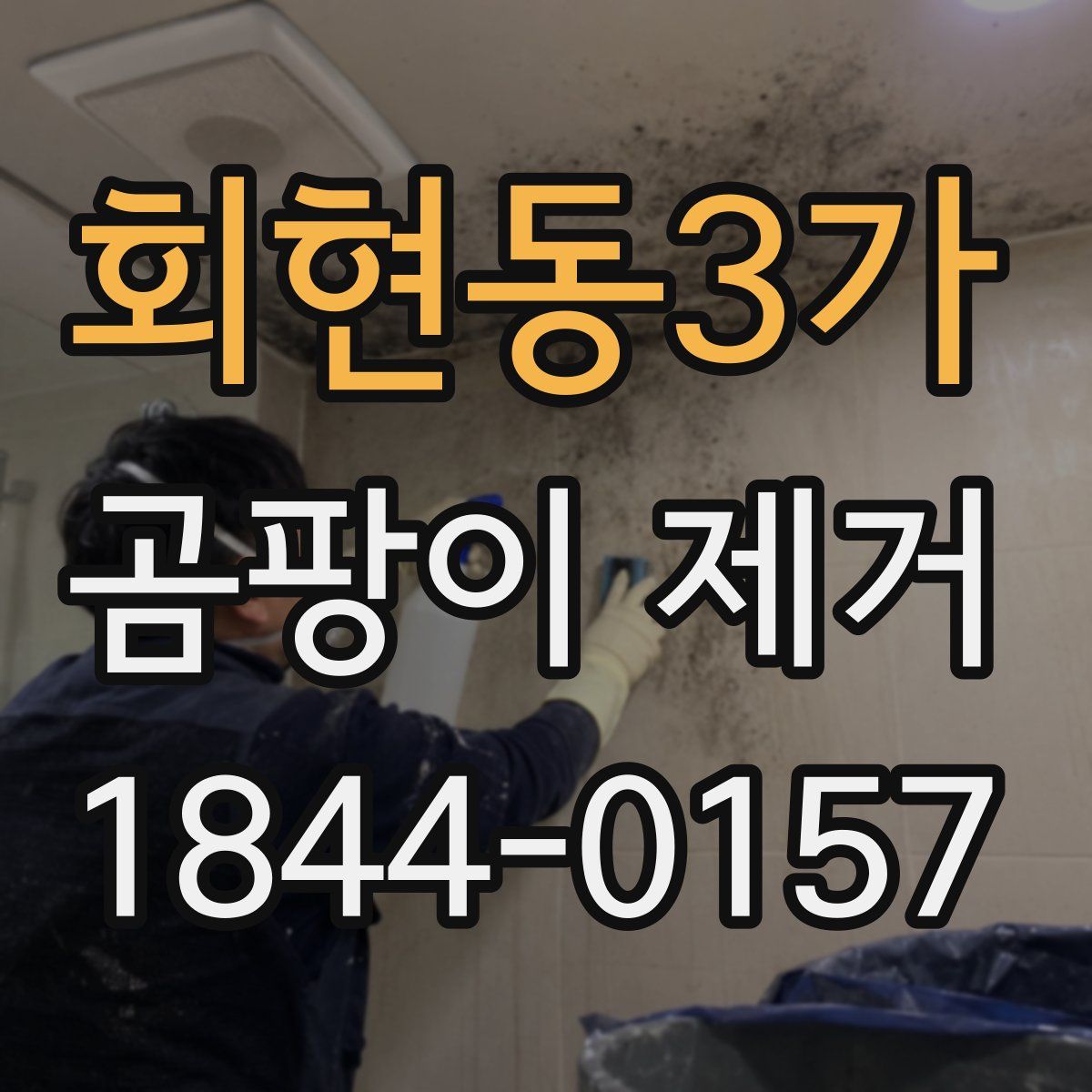 회현동3가 곰팡이 제거