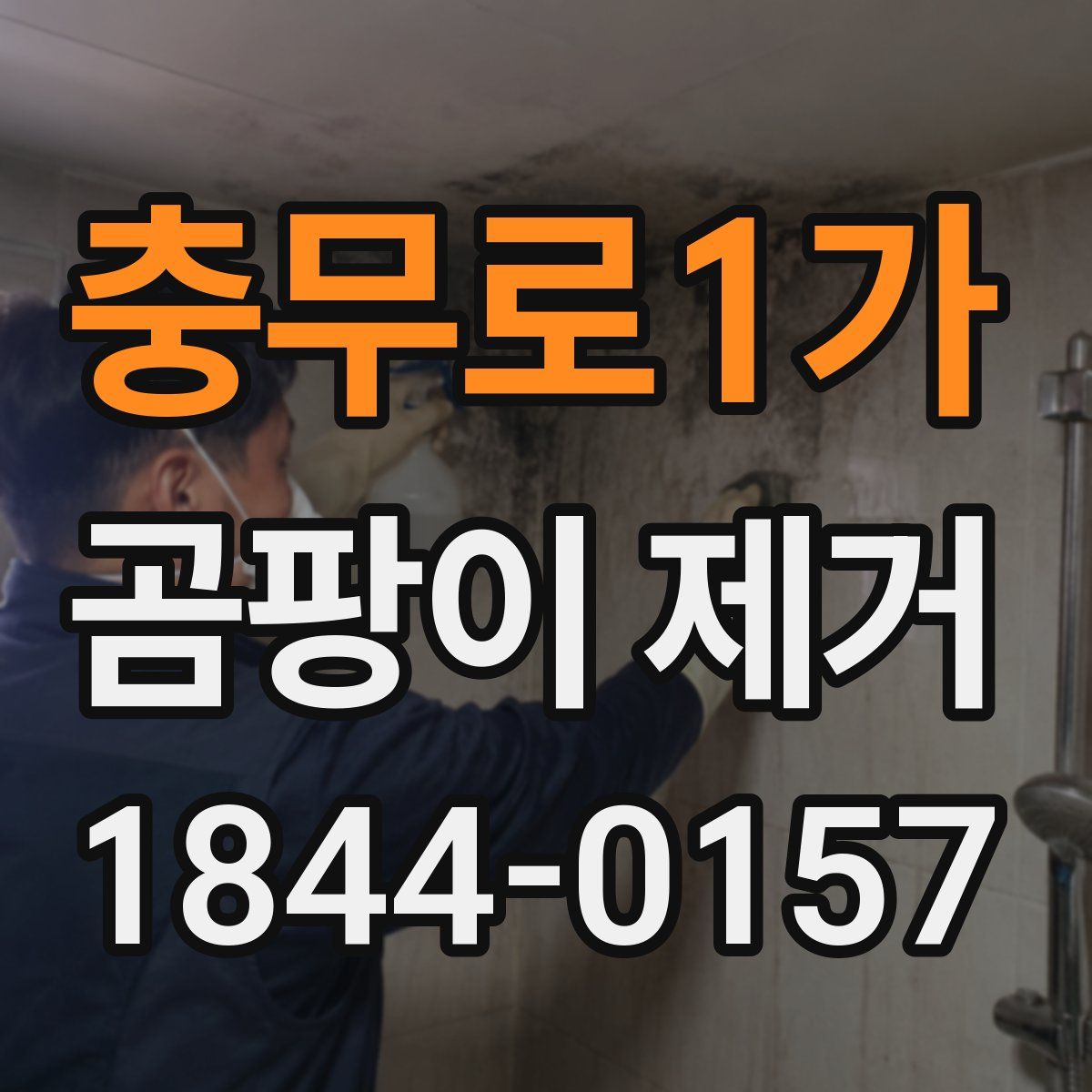 충무로1가 곰팡이 제거