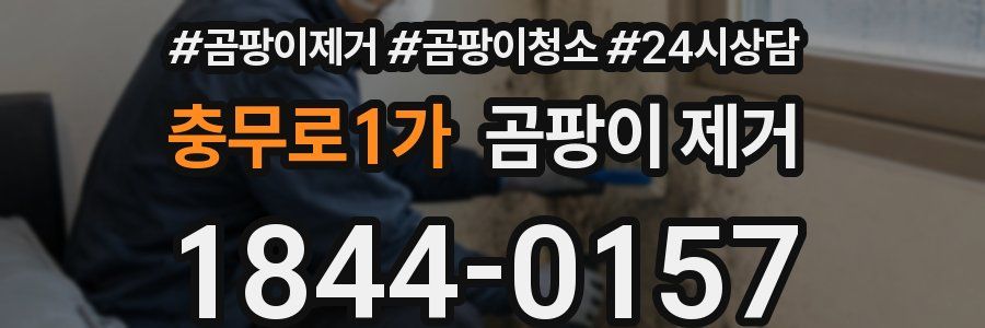 충무로1가 곰팡이 제거