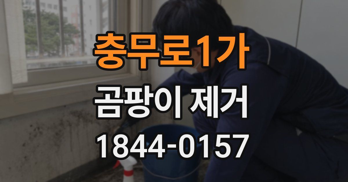 충무로1가 곰팡이 제거