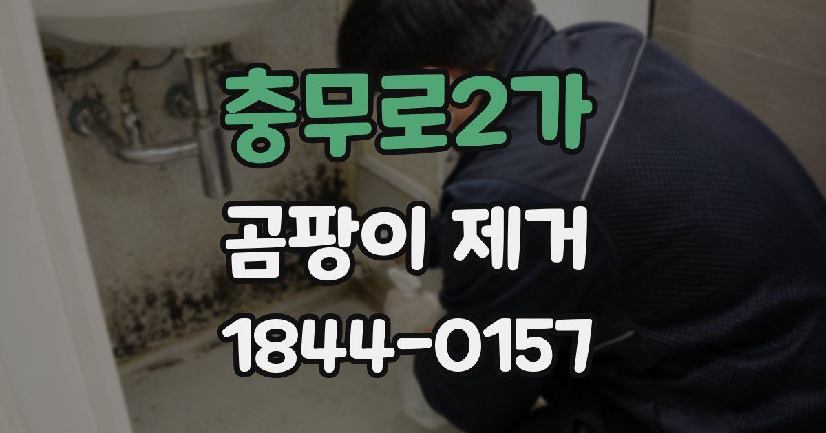 충무로2가 곰팡이 제거