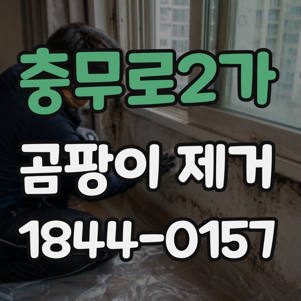충무로2가 곰팡이 제거