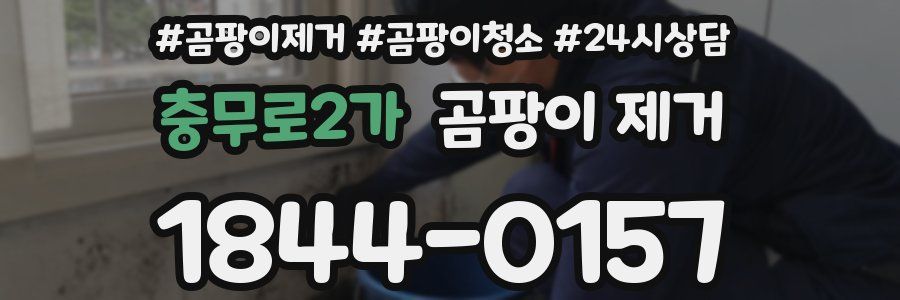 충무로2가 곰팡이 제거