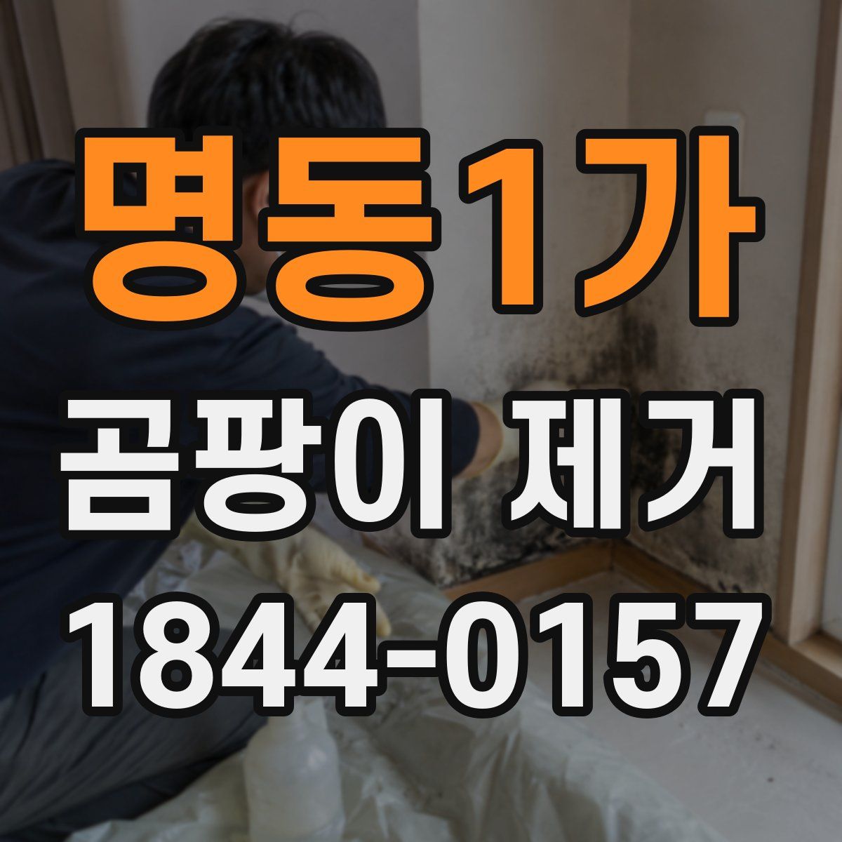 명동1가 곰팡이 제거