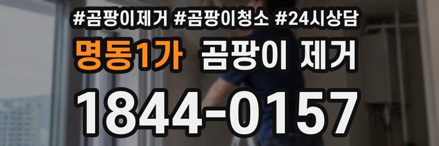 명동1가 곰팡이 제거