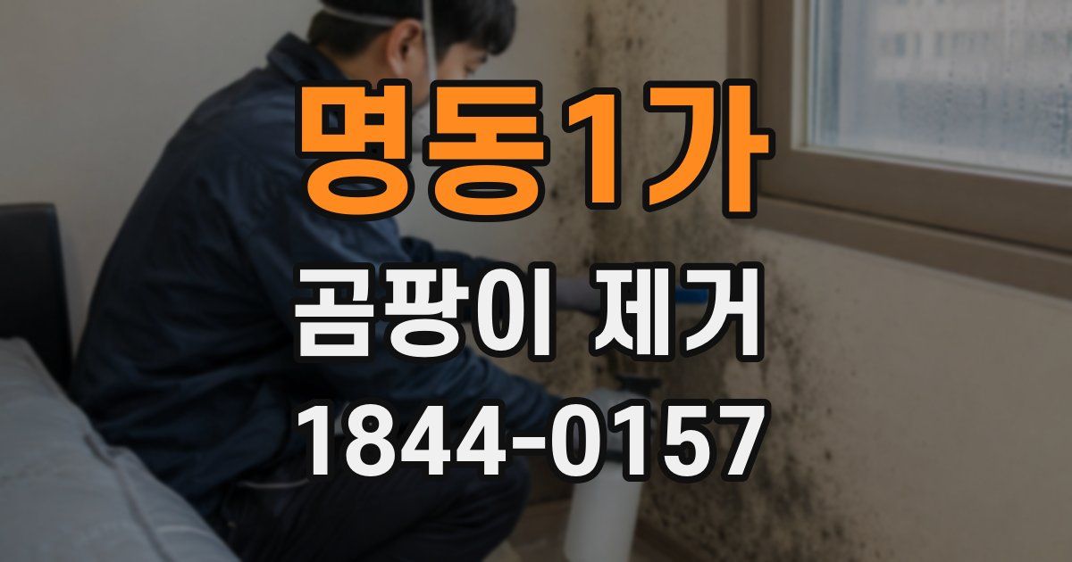 명동1가 곰팡이 제거