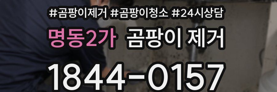 명동2가 곰팡이 제거