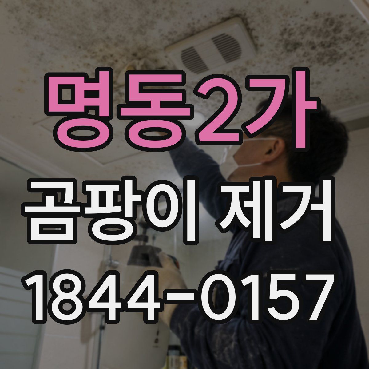 명동2가 곰팡이 제거