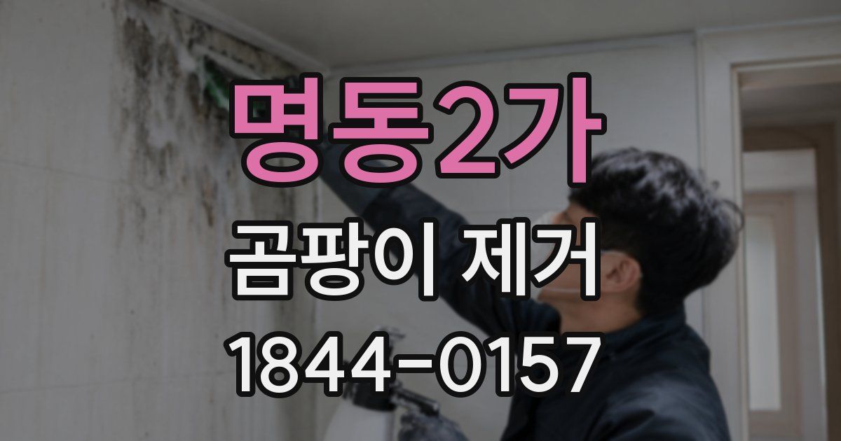 명동2가 곰팡이 제거