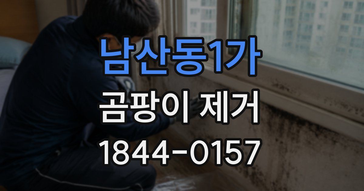 남산동1가 곰팡이 제거