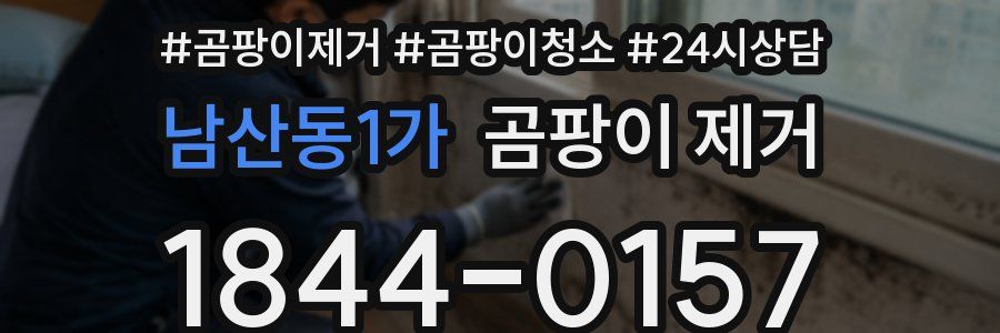 남산동1가 곰팡이 제거
