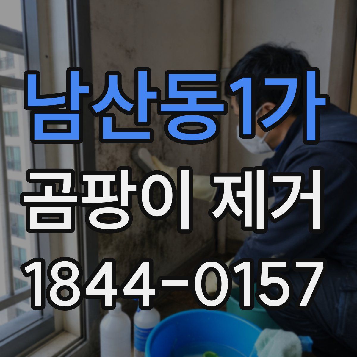 남산동1가 곰팡이 제거
