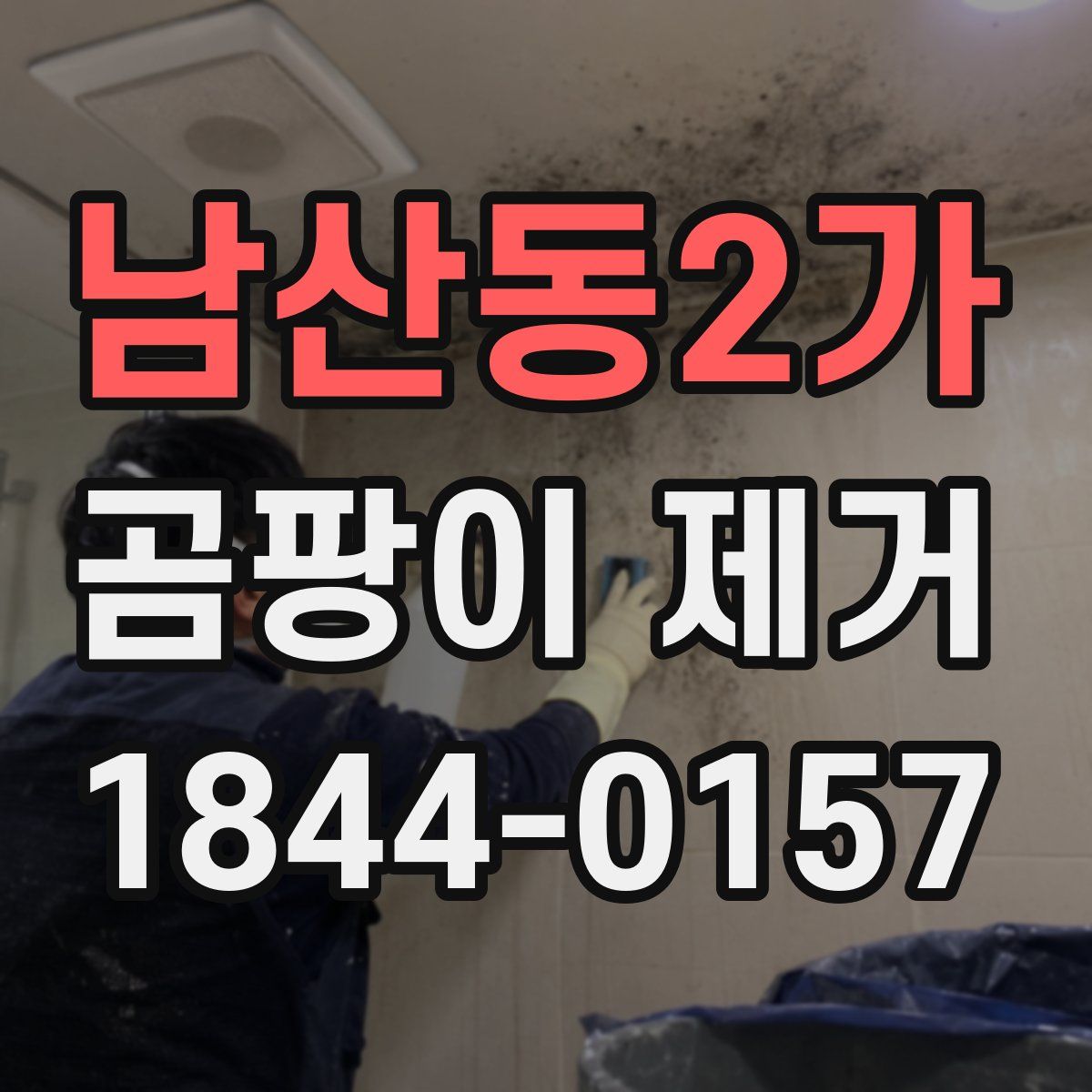 남산동2가 곰팡이 제거