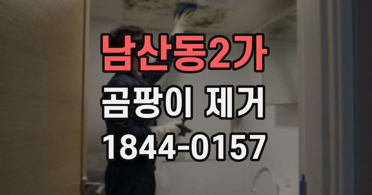 남산동2가 곰팡이 제거