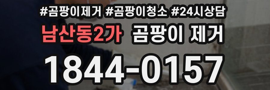 남산동2가 곰팡이 제거