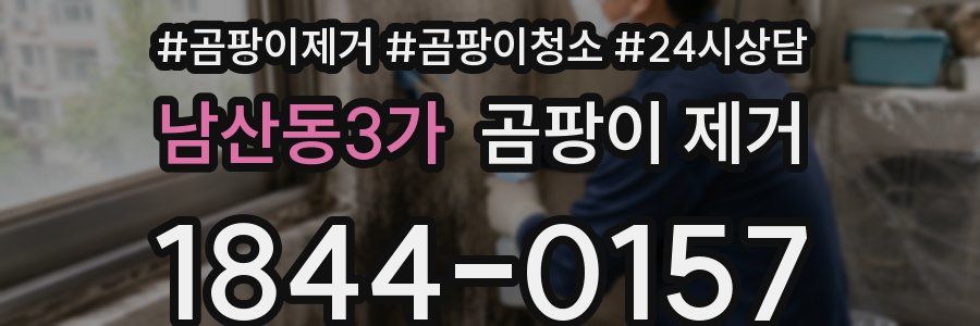 남산동3가 곰팡이 제거