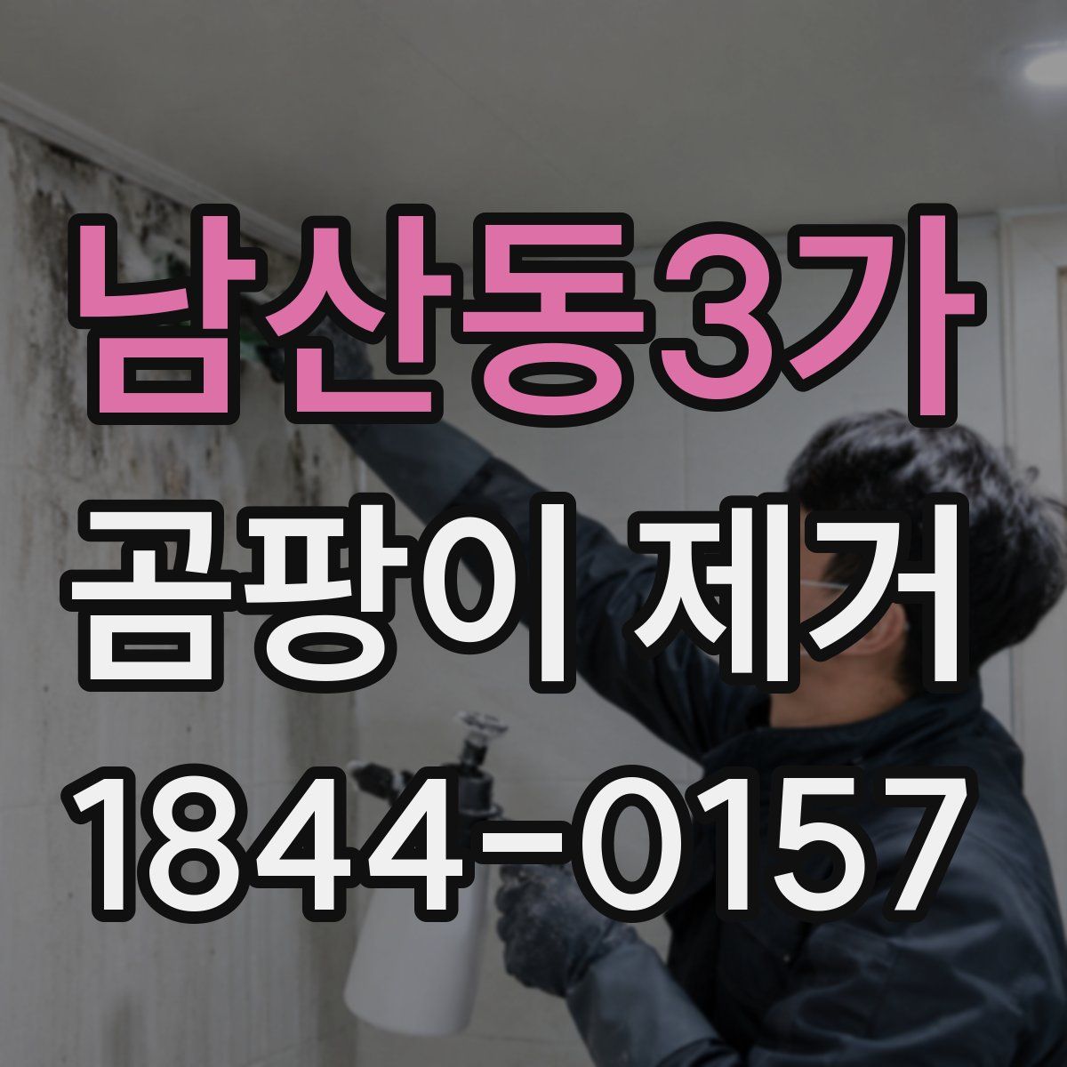 남산동3가 곰팡이 제거