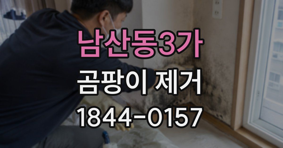 남산동3가 곰팡이 제거
