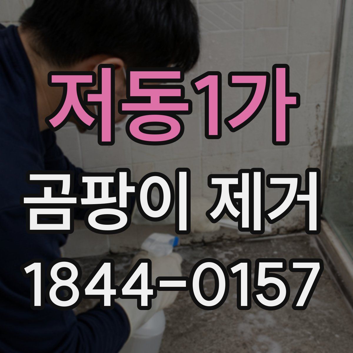 저동1가 곰팡이 제거