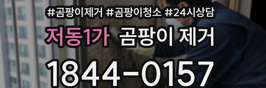 저동1가 곰팡이 제거