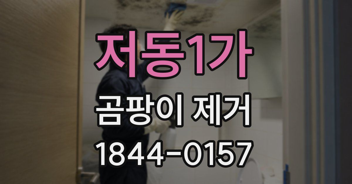 저동1가 곰팡이 제거