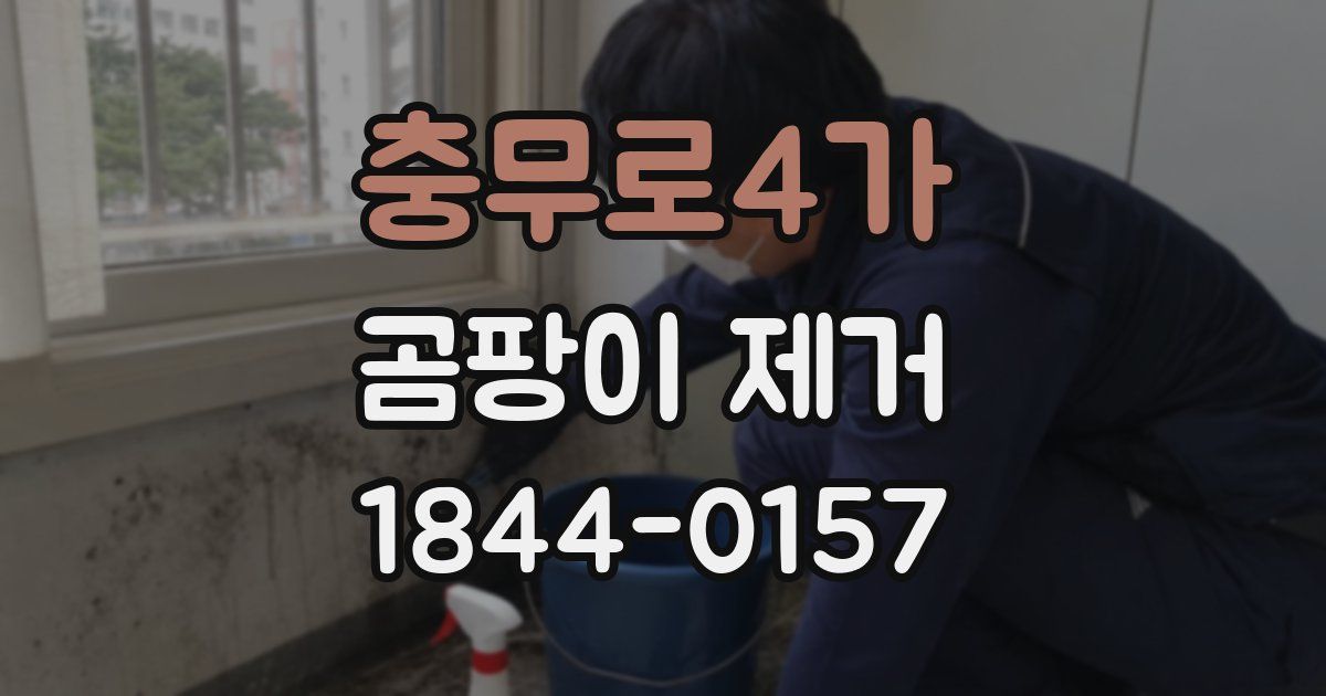 충무로4가 곰팡이 제거