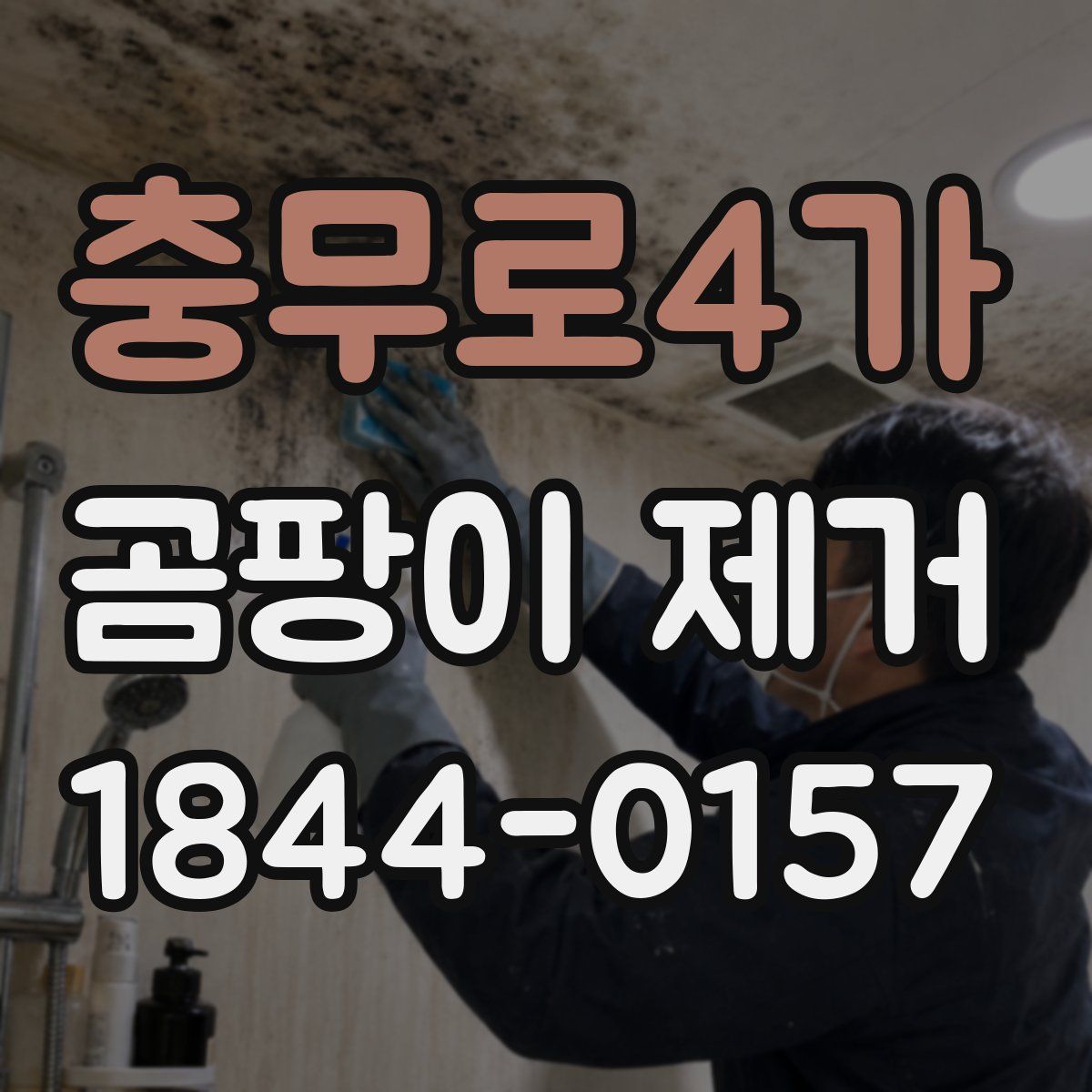 충무로4가 곰팡이 제거