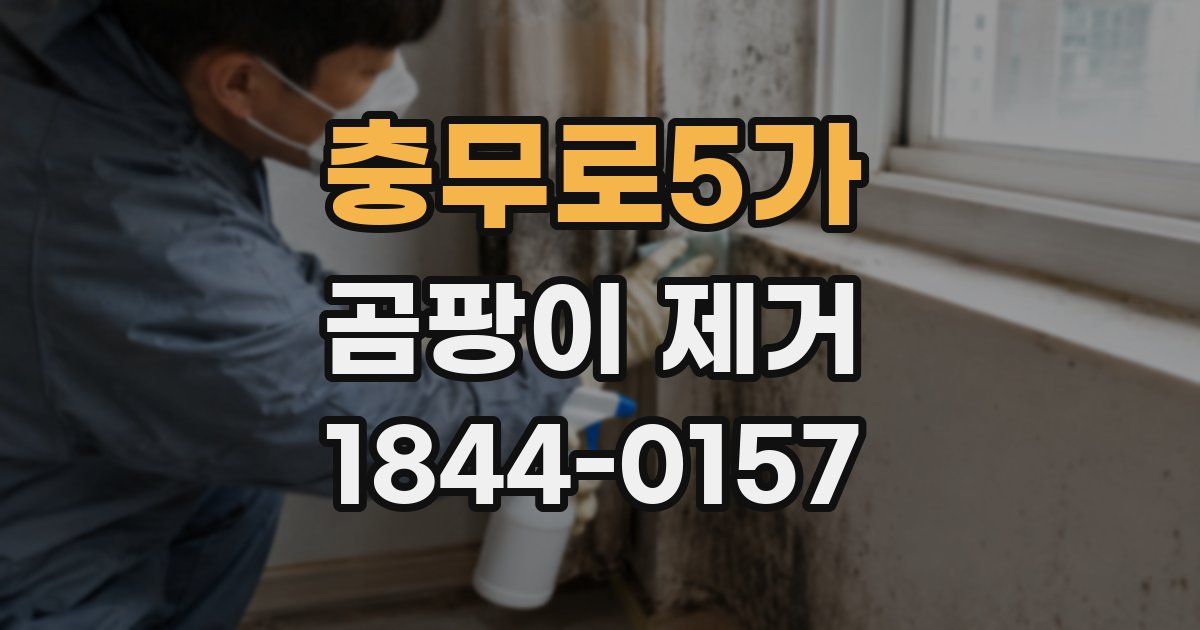 충무로5가 곰팡이 제거