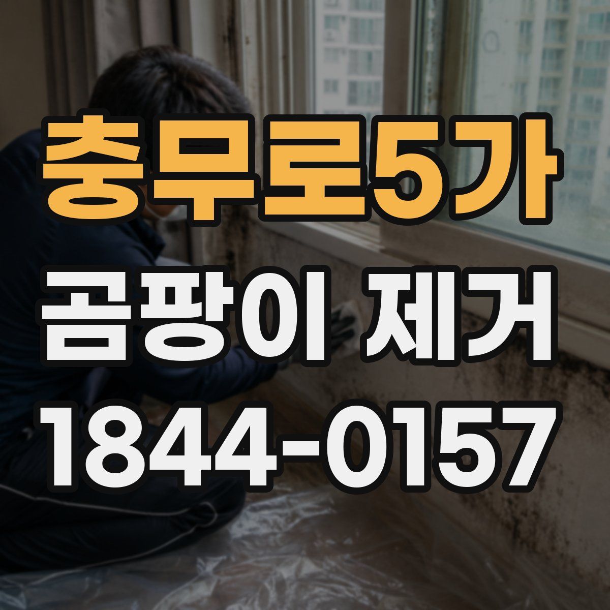충무로5가 곰팡이 제거