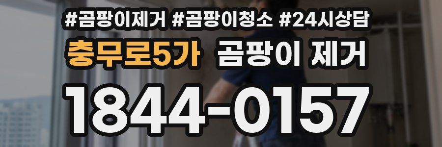 충무로5가 곰팡이 제거