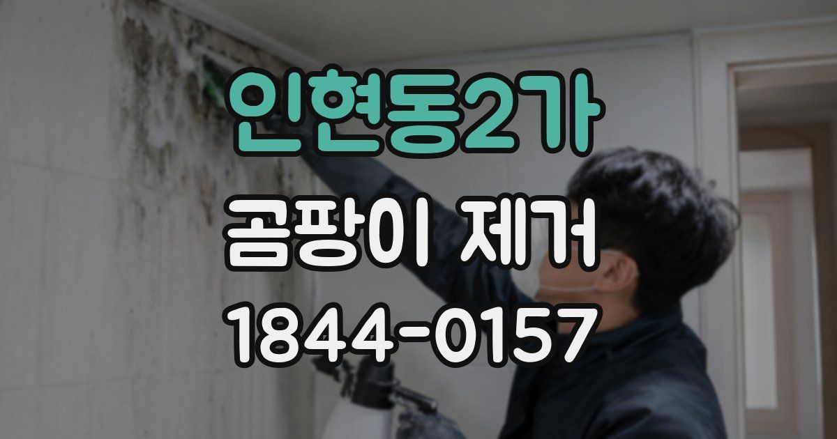 인현동2가 곰팡이 제거